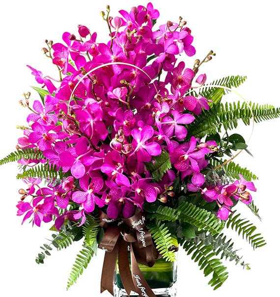 Purple Orchids In Vase