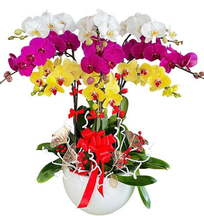 Radiant Orchid Wishes