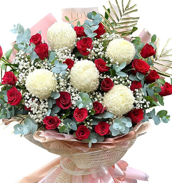 Red and White Christmas Flowers Vietnam