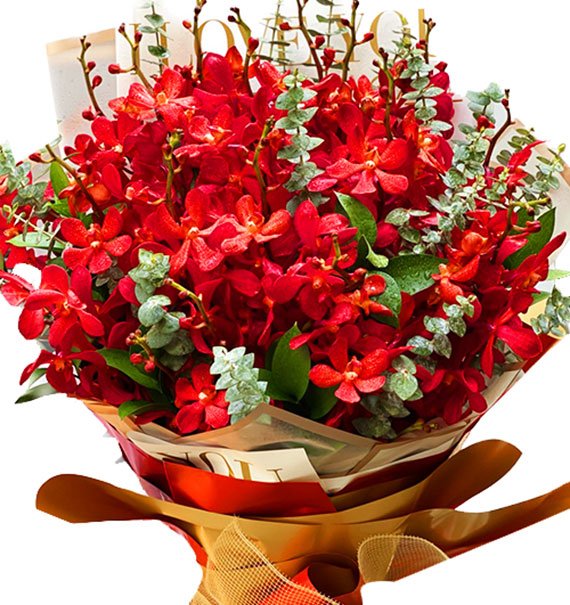 Red Orchid Bouquet For Christmas Vietnam