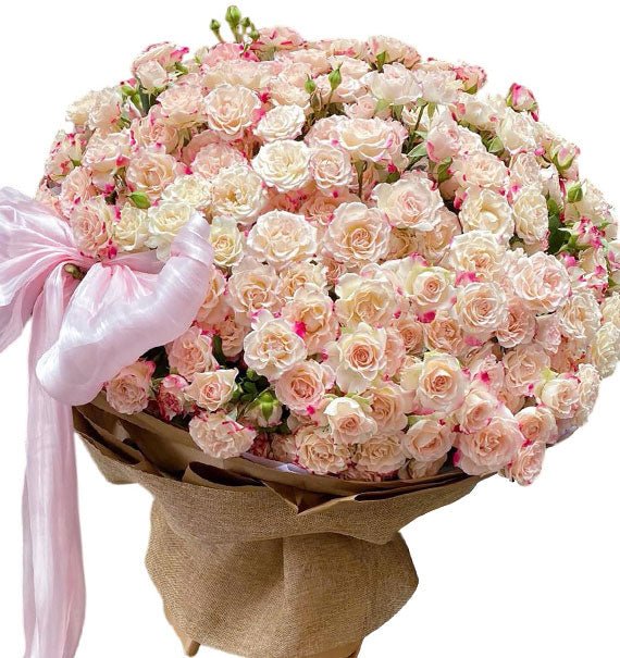 Romantic Glow Spray Rose Vietnam