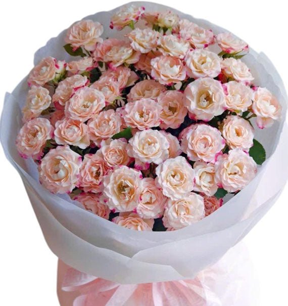 Rosy Whispers Roses Vietnam