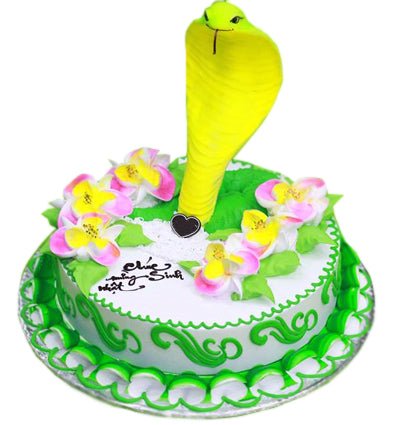 Snake Cake Vietnam