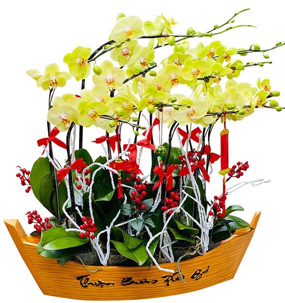 Special Orchids For Tet