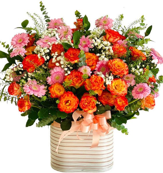 Spring Blossom Delight Tet Vietnam