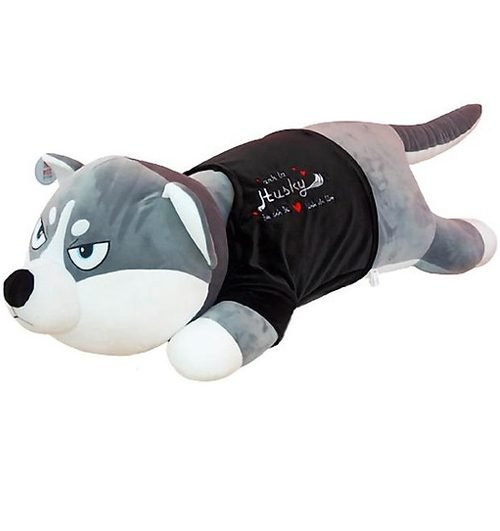 Stuffed Dog Vietnam