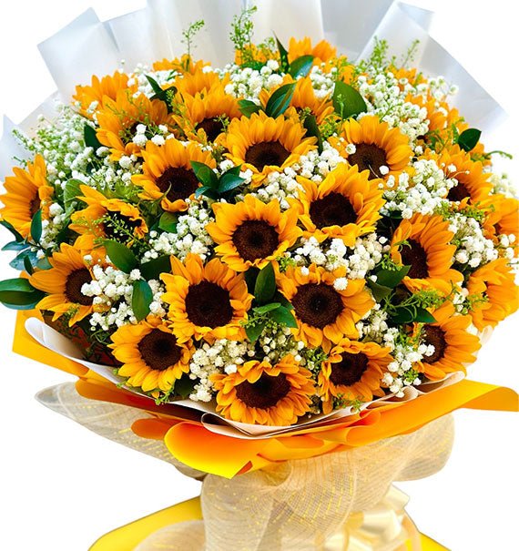 Sunflower For Dad Vietnam