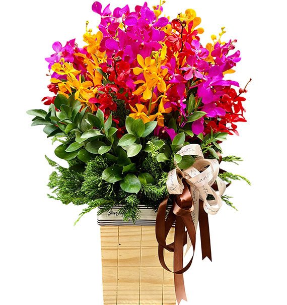 Sunset Mixed Orchids Basket