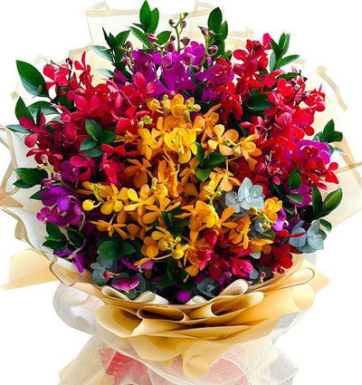 Sunset Mixed Orchids