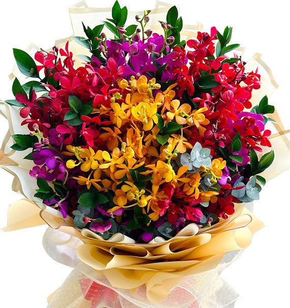 Sunset Mixed Orchids