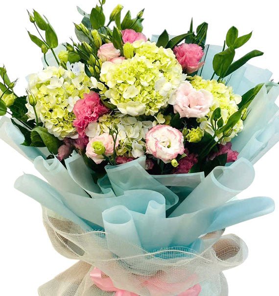 Sweet Serenity Hydrangeas Vietnam