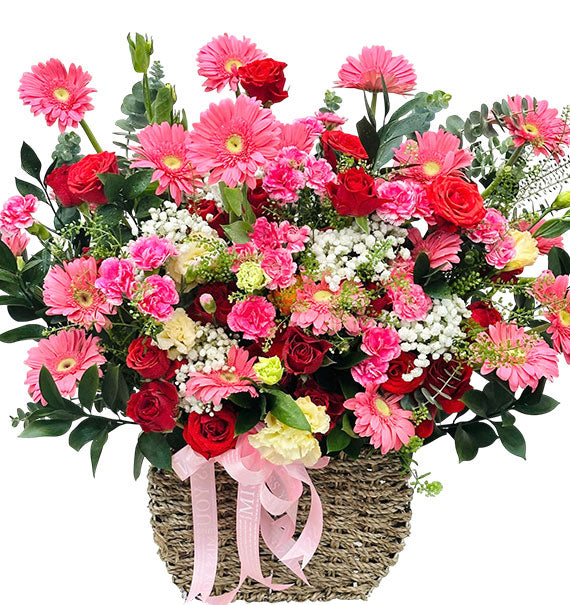 Tet Blooming Wishes Tet Vietnam