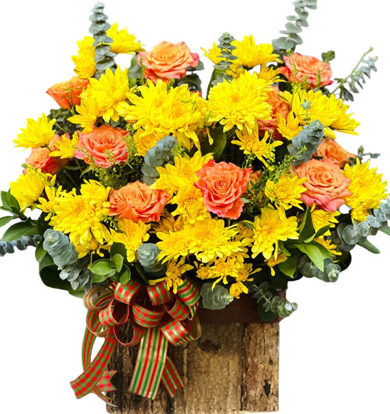 The Bloom of Spring Tet Vietnam