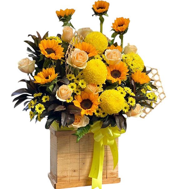 The Bloom of Spring Tet Vietnam