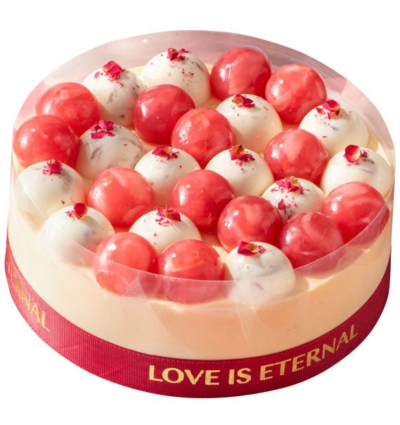 Tiralychée Tiramisu Cake Vietnam