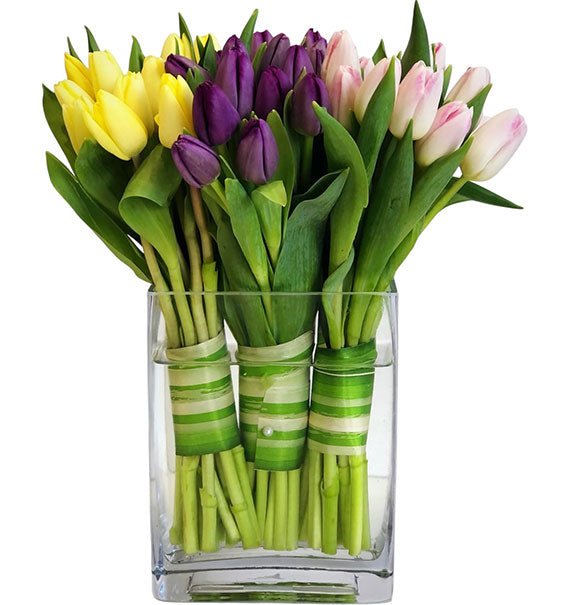 Tulips In Vase