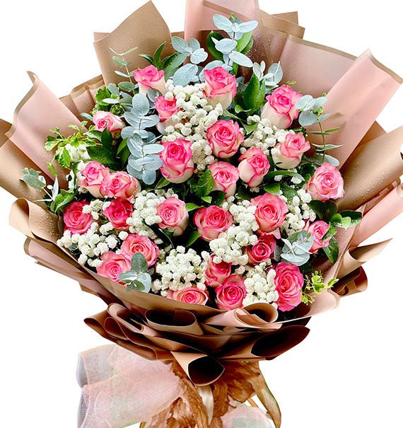 Velvet Pink Symphony