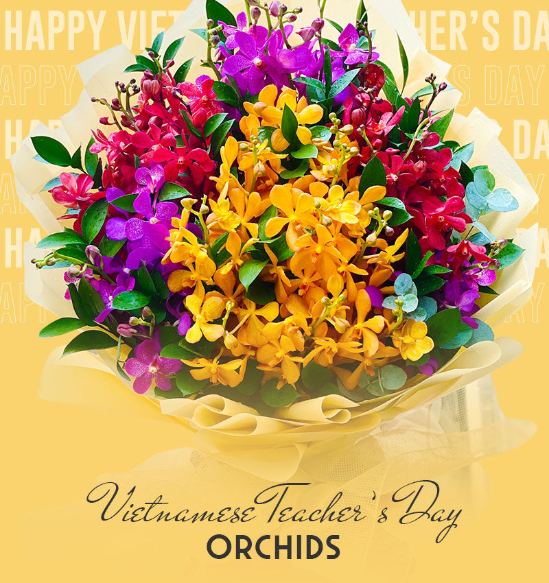 vietnamese teachers day orchids