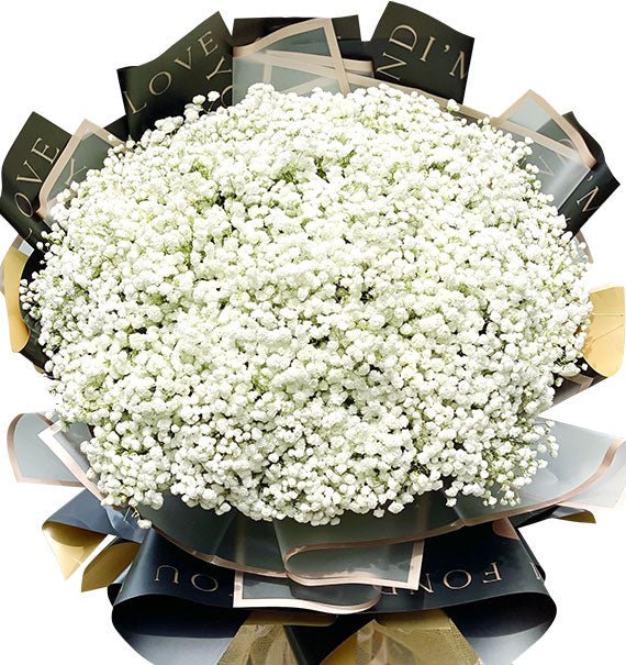 Vietnamese Womens Day Baby Breaths Flower