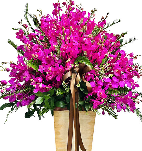 Vietnamese Women's Day Orchid Basket
