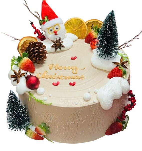 Warm Wishes Cake Christmas Vietnam
