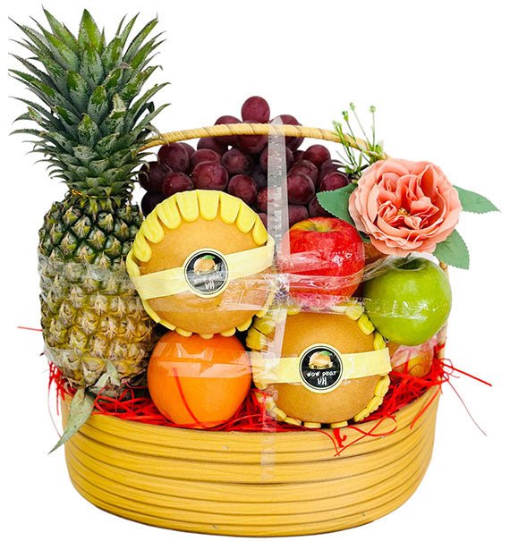 Wellness Fruit Gift Vietnam