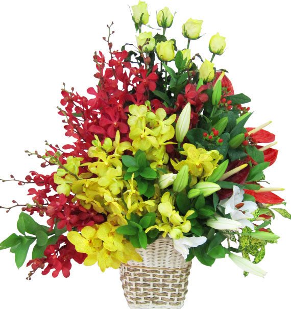 Where Elegance Burns Bright