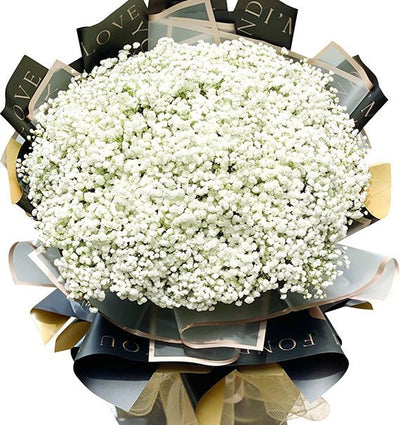 White Baby's Breath Boutquet