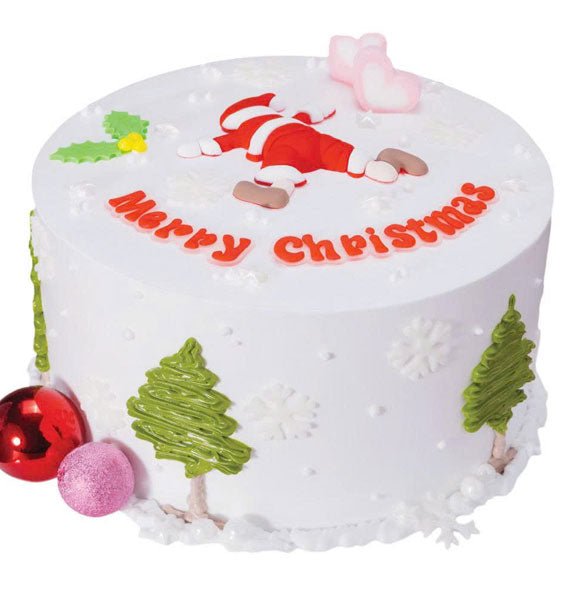 White Christmas Cake Vietnam