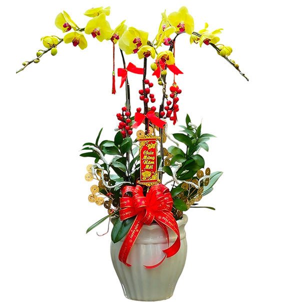 Womens Day Orchid In Pot Vietnam