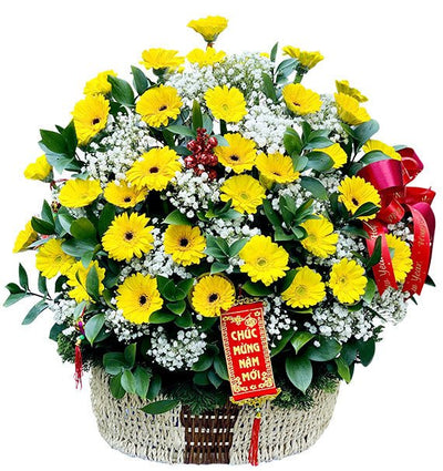 Yellow Gerbera Basket For Tet