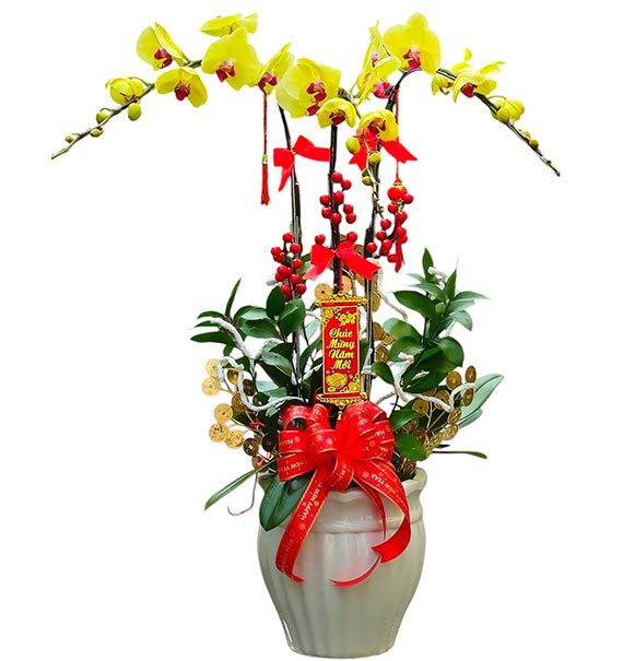 Yellow Orchid Pot For Mom Vietnam