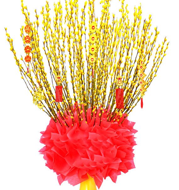 Yellow Singapore Peach-Tree 1m6 Tet Vietnam