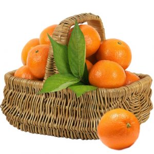 Fresh-Orange-Basket