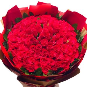 christmas-flowers-99-rose