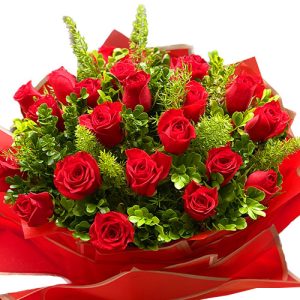 christmas-rose-24-red
