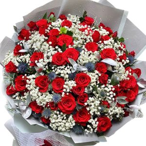 christmas-rose-48-red