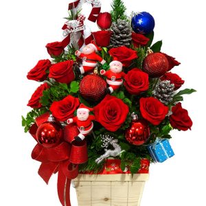 special-chirstmas-flowers-001