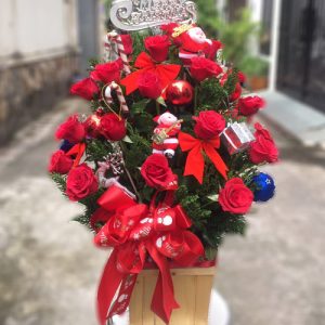 special-christmas-flowers-01