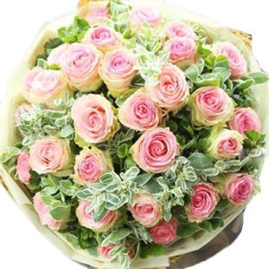 ecuadorian-roses-22