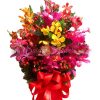 Mixed Orchids In Vase