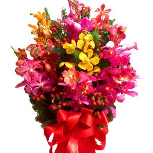 mixed-orchid-in-vase