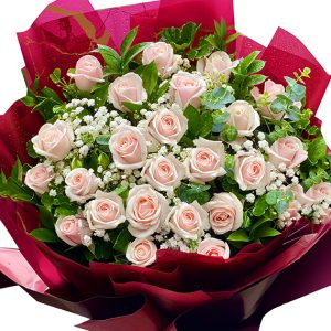 24 peach roses