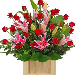 i love mom