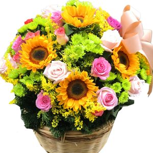 special mothers day 013