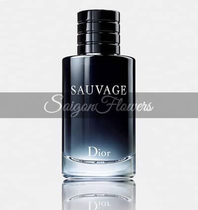 Sauvage Dior 2015 Christian Dior 