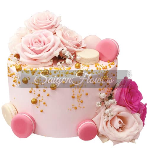 special-cake-23