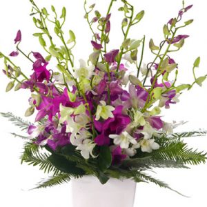 Sympathy Vase vietnam 17