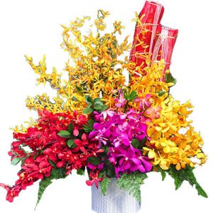 elegant-orchid-01