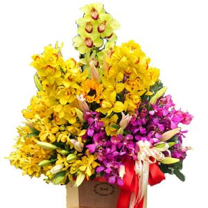 elegant-orchid-03